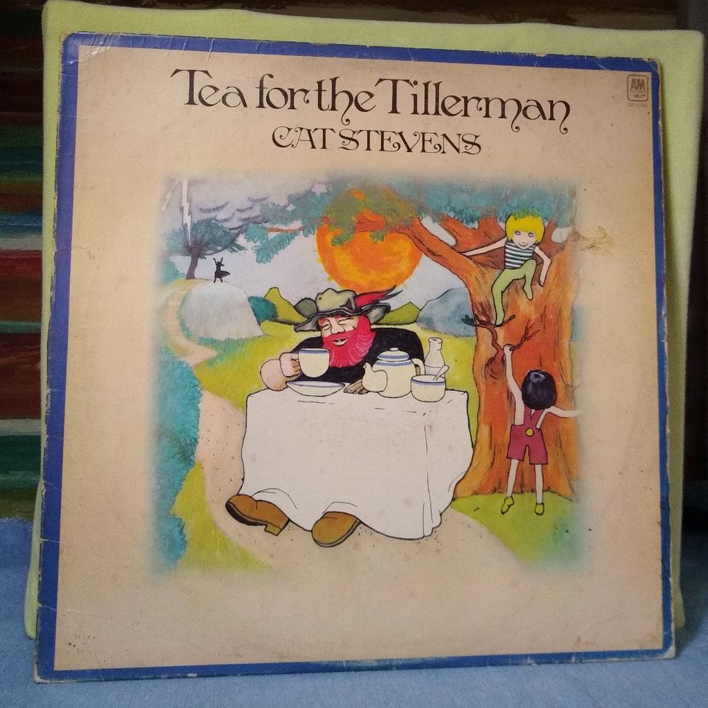 Cat Stevens Tea For The Tillerman 1970 Vinyl record